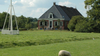 WikiMedia