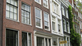 WikiMedia
