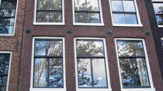 WikiMedia