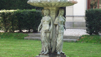 WikiMedia