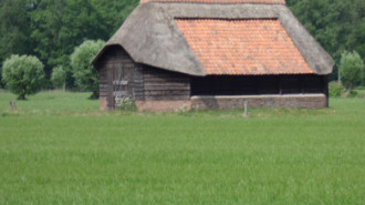 WikiMedia