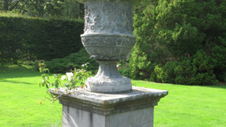WikiMedia