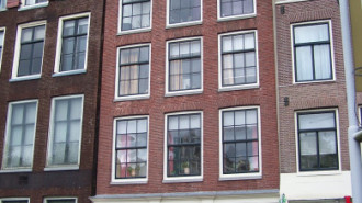 WikiMedia