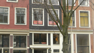 WikiMedia
