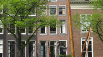 WikiMedia