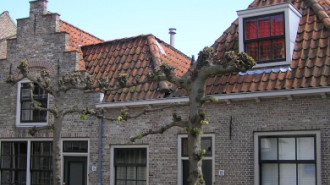 WikiMedia