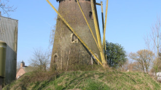 WikiMedia