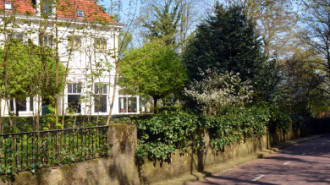 WikiMedia