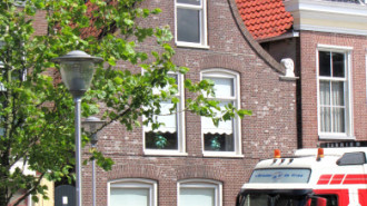 WikiMedia