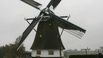 WikiMedia