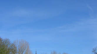 WikiMedia