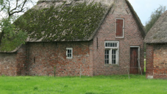 WikiMedia
