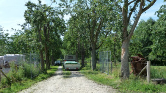 Rijksdienst voor het Cultureel Erfgoed: Bers, Mieke
