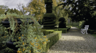 Rijksdienst voor het Cultureel Erfgoed: Roderburg, K. (Kris)