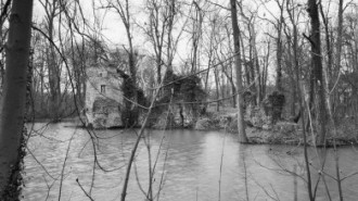 Rijksdienst voor het Cultureel Erfgoed: Heins, IJ.Th.