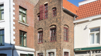 WikiMedia