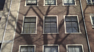 WikiMedia