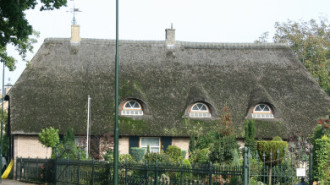 WikiMedia