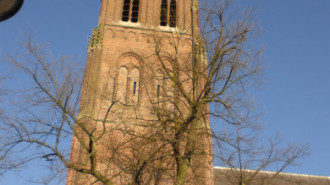 WikiMedia