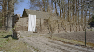 Rijksdienst voor het Cultureel Erfgoed: Heins, IJ.Th.