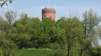WikiMedia