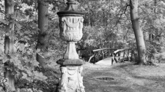 Rijksdienst voor het Cultureel Erfgoed: Wal, A.J. van der