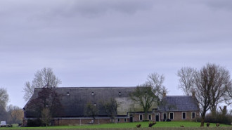 WikiMedia