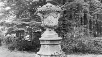 WikiMedia