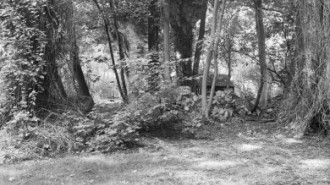 Rijksdienst voor het Cultureel Erfgoed: Dukker, G.J.