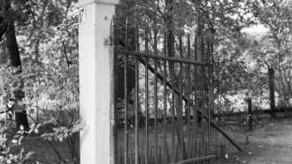 Rijksdienst voor het Cultureel Erfgoed: Schollen, A.H.C.