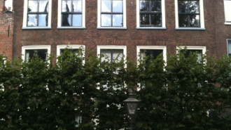WikiMedia