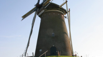 WikiMedia