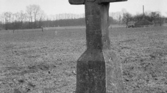 Rijksdienst voor het Cultureel Erfgoed: Schellekens, P.C.