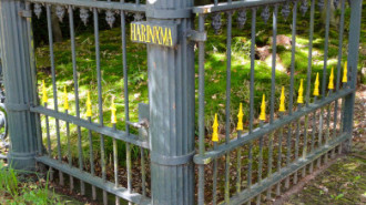 WikiMedia