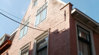WikiMedia