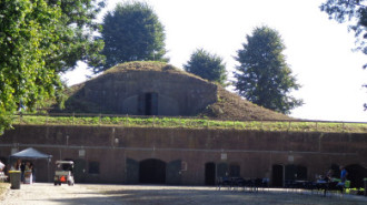 WikiMedia