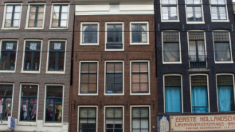WikiMedia
