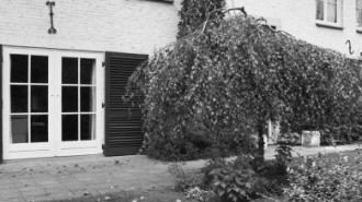 Rijksdienst voor het Cultureel Erfgoed: Tangel, L.M.