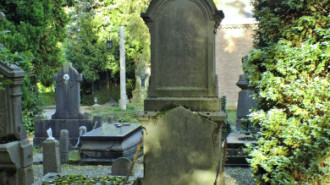 WikiMedia