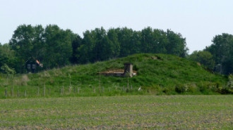 WikiMedia
