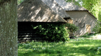 WikiMedia