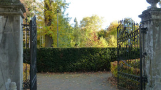 WikiMedia