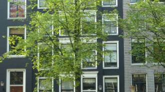 WikiMedia