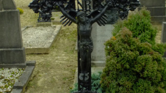 WikiMedia