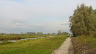 Rijksdienst voor het Cultureel Erfgoed: Terpstra, Frank