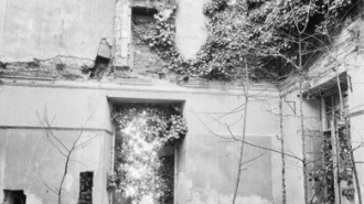 Rijksdienst voor het Cultureel Erfgoed: Delemarre, G.Th.