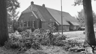 WikiMedia