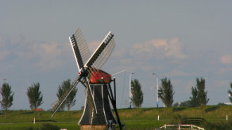 WikiMedia