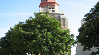 WikiMedia