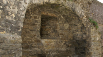 WikiMedia